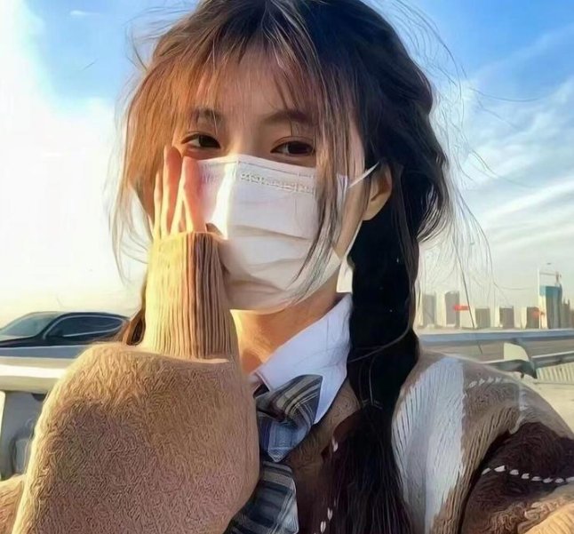 最后的维米尔
